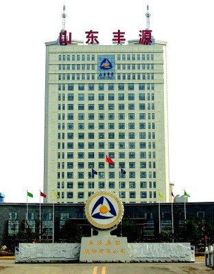 丰源通达电力有限公司
